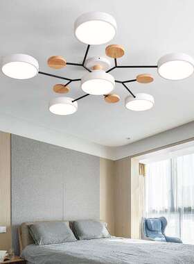 LED创意式吸顶客厅主灯家居装饰网红现代简约新款卧室书房大气灯