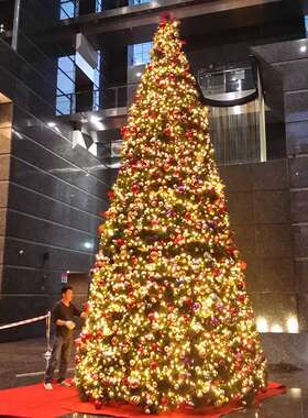 户外商用编程大型圣诞树装饰树形发光幻彩聖誕樹christmas tree