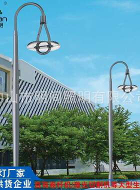 工厂 3米新款单头庭院灯 户外园林广场亮化工程异形LED庭院灯