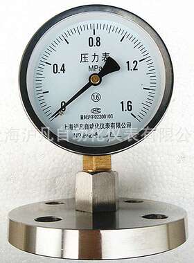 厂家销售 YTP100HL 隔膜压力表 不锈钢法兰 卡箍 螺纹连接式