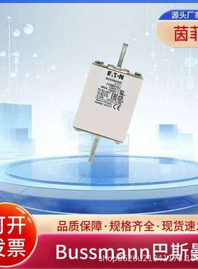 熔断器170M5188 170M5189 170M5190 170M5191 170M5192 170M5193