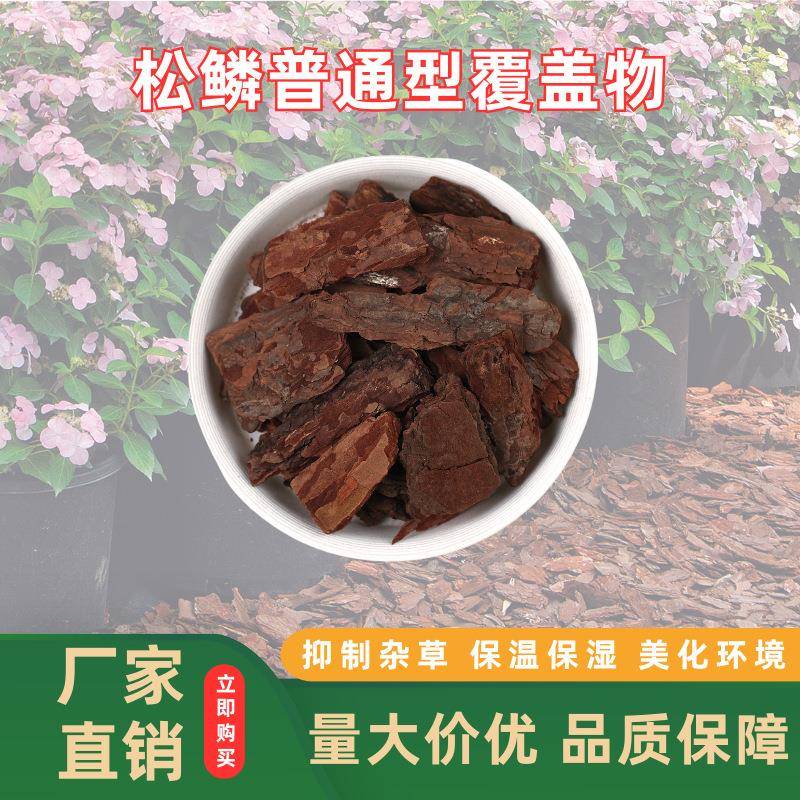 松鳞覆盖物松树皮覆盖物园艺栽培松鳞覆盖物兰花透水