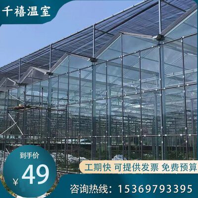 化室新大 大棚骨架棚农业设施室棚蔬菜型大玻璃温棚 大现代智能温