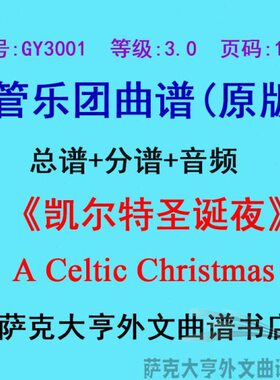 ra谱(s0Ce谱t管stm+乐 Aic1夜0i分Y3GCh 团总3.0级) 凯尔特圣诞l
