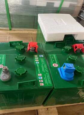 火炬铅酸蓄电池3-DG-230动力型6V230Ah电动观光车 电动升降平台