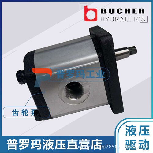 德国布赫BUCHER液压齿轮油泵AP100/4.3 D 318  AP100/6.5 D 318