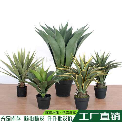 仿真龙舌兰剑兰盆栽欧式家居盆景客厅装饰摆件 绿植仿真盆栽