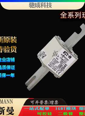 巴斯曼170M3158 170M3159 170M3160 厂家供货 销售 低压熔断器