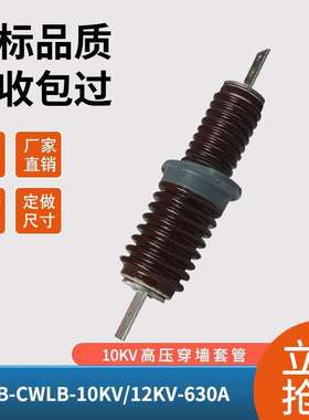 户外10KV高压穿墙瓷套管CWWCWB-12kv200-4000A可做630A1000A3150A