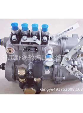 原装喷油泵 BH4QT90R9 4QTF938和4Q288和4QTF296M和4Q301-1