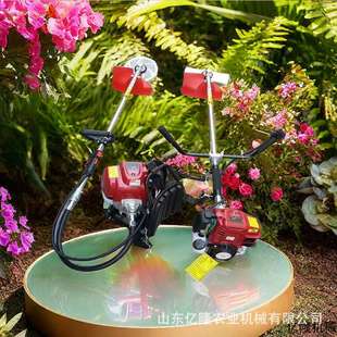 家用汽油背负式割灌机 果园大棚开荒除草机 手推式打草剪草机