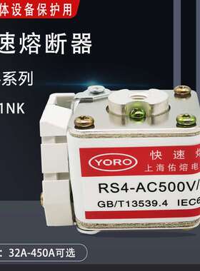 RS4-500V/315A-P101NK快速熔断器32A 40A 50A 63A 80A 125A 160A
