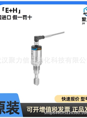 E+H原装 现货FTL33-10R4/0音叉液位开关FTL33-AA4M3ABWSJ原装