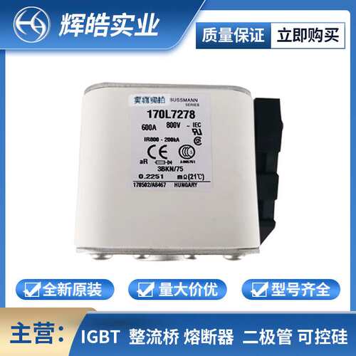 170M7034 170M7031 快速保险丝 低压熔断器 电子元器件 辉皓实业
