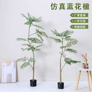 高端仿真蓝花楹假绿植盆栽大型室内客厅落地装饰摆件仿生植物造景