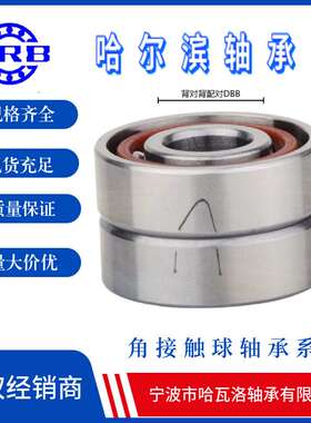HRB 7201AC-2RZ/P5DBB  哈尔滨角接触轴承 内径12mm 外径32mm 厚1