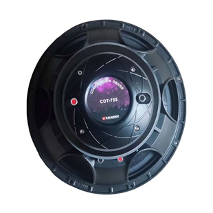 B.W.AUDIO CDT-75515寸同轴低音喇叭单元高专业高音
