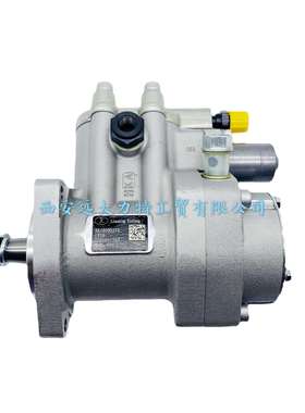 NFP1.2 LN16喷油泵总成 4G33TC-180100C 4G33TC-180100 配常柴