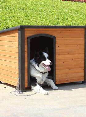 户外实木白色狗笼狗舍大型中型犬狗屋防雨室外庭院网红狗窝通用