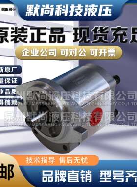 朝田RISUNY齿轮泵P102RP01G 液压油泵 P101RP01G 可非标使用