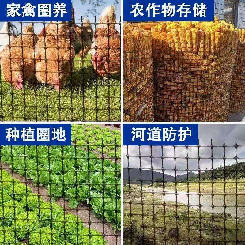 围栏农田防护网玉米养殖网养鸡圈格栅塑料家禽圈养