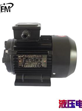 三相异步电机齿轮油泵CB-B/HGP1A/TOP/BB16国标380V纯铜马达