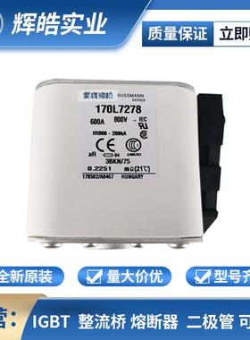 170M6460 170M6461低压快速熔断器 电子元器件