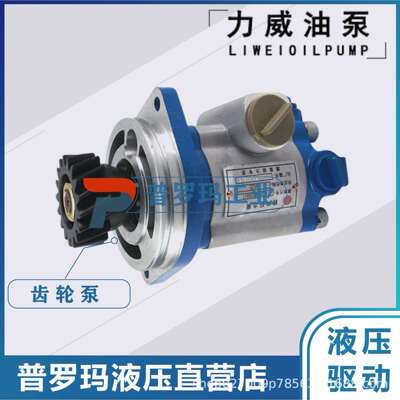 1032300027 中联重科ZOOMLION合肥力威液压助力油泵QC25/13-WP-PY