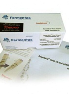 RT逆转录试剂盒 K1622 100T Fermentas/MBI