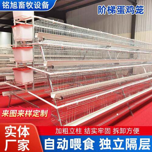 阶梯蛋鸡笼供应鸡鸭饲养笼自动化镀锌网养殖笼舍配件层叠式蛋鸡笼