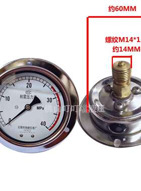 ZFYB无锡珠峰耐震抗震压力表轴向YN60III-600/250/400BAR/40BAR