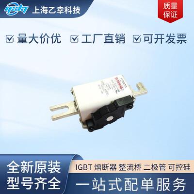 巴斯曼熔断器 170M3389 170M3390 170M3391 170M3392 170M3393