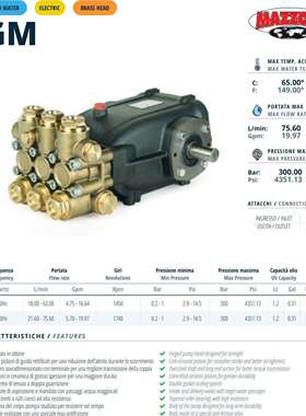 意大利 高压柱塞泵 MAZZONI 玛佐尼--GM33250,GM43170,GM54150