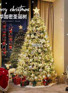 圣诞树加密落雪白色植绒PVC仿真圣诞树家用客厅摆件圣诞节装饰品