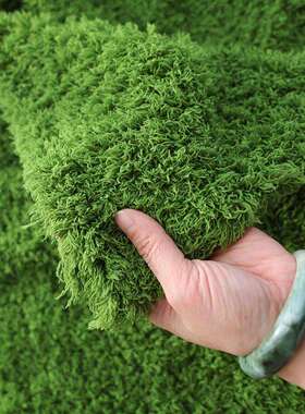 植物墙仿真苔藓绿色假苔藓青苔微景观盆景造景装饰材料草坪布草皮
