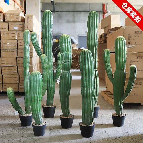 大型沙漠仿生植物景观造景假仙人掌仿真植物仙人柱人造绿植盆栽