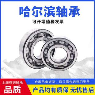 哈尔滨轴承6317 6318 6319 6320 6321 6322 6324高速电机风机轴承