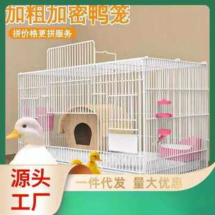 柯尔鸭笼子小鸭子鸭笼家用室内柯达防臭鸡笼鹌鹑笼