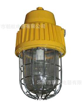 DGS70-127B(B)矿用隔爆型泛光灯 矿用投光灯 矿用巷道灯BLD110.