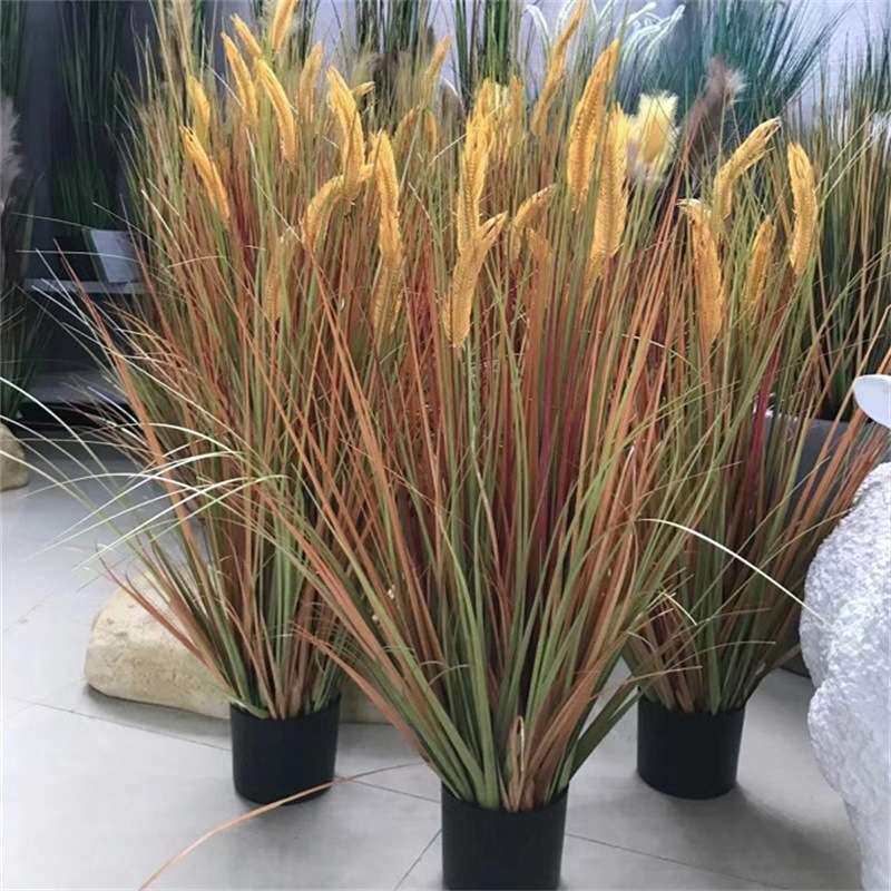 仿真秋色洋葱草盆栽 草盆大麦(大卖)麦子豆谷装饰园艺草盆