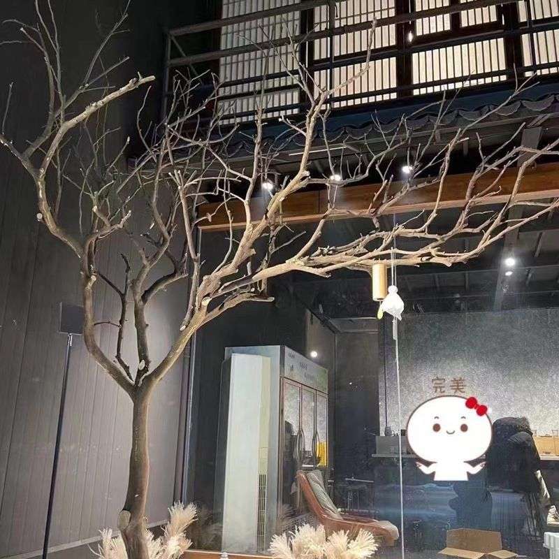 干树枝天然造型干枝枯枝软装装饰实木树干造型树枯木枯树美陈造型