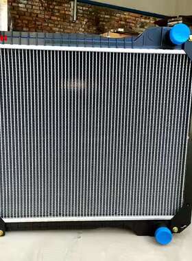 332/G3691 High Quality Water Aluminum Plastic Radiator for J