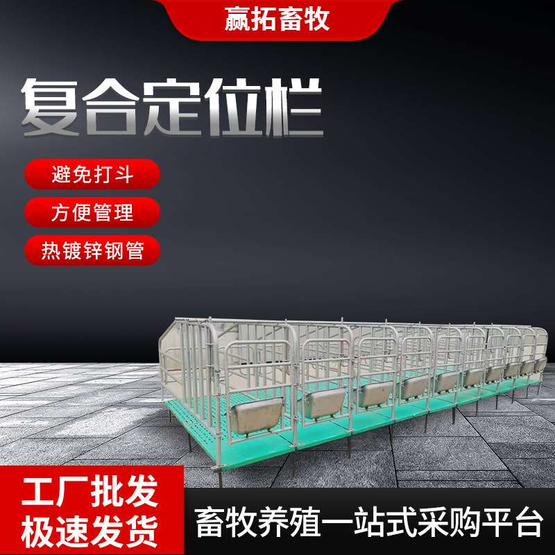 定位栏养猪场用小猪限位栏加厚镀锌管5头10头位母猪定位栏
