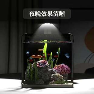 背滤鱼缸超白直角小型免换水家用桌面客厅自循环生态水族箱书草缸
