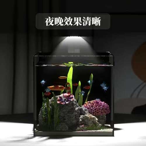 背滤鱼缸超白直角小型免换水家用桌面客厅自循环生态水族箱书草缸