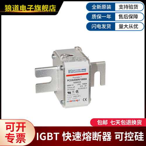 PC33UD69V900EF-E300223 PC33UD69V1000A-N300254罗兰快速熔断器