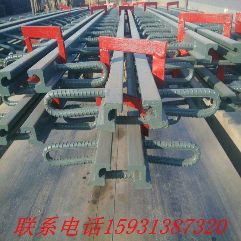 桥梁伸缩缝RG型 GQF-RG40-RG60-RG80 桥梁变形装置