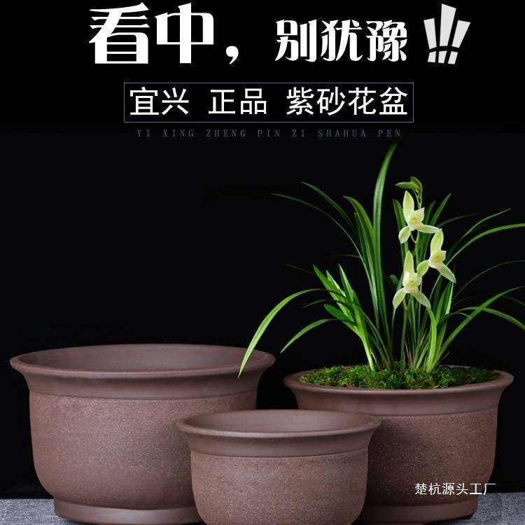 宜兴特大紫砂花盆绿萝盆景多肉种菜兰花盆圆口陶瓷盆