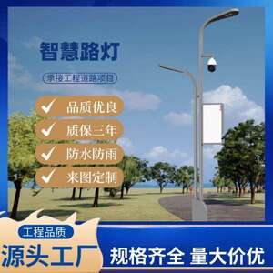 厂家直供LED智能市电路灯太阳能智慧路灯市政道路屏显智慧庭院灯