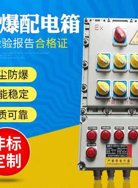 防爆动力箱应急照明配电箱防爆KPU电源开关控制检修箱动力配电柜